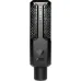 Lewitt RAY Large-Diaphragm Condenser Microphone Lewitt RAY Large-Diaphragm Condenser Microphone