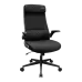 Cougar Stryder Gaming Chair Black