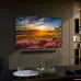 Samsung 43Q65D 43