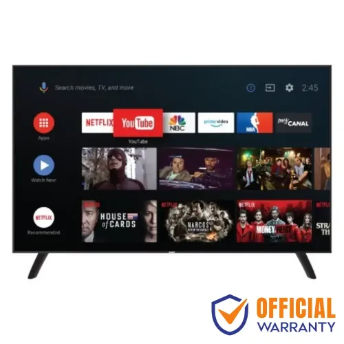 Smart SEL-65S224KKS 65