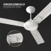Havells Enticer 56