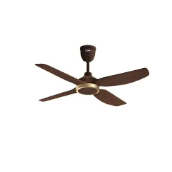 Qulik Windora 56