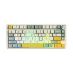 Zifriend RX75 RGB Hot-Swappable Mechanical Keyboard Zifriend RX75 RGB Hot-Swappable Mechanical Keyboard