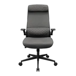 Cougar Stryder Gaming Chair Grey Cougar Stryder Gaming Chair Grey