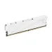 Netac Shadow S 16GB DDR4 3200MHz Desktop RAM WHITE Netac Shadow S 16GB DDR4 3200MHz Desktop RAM WHITE