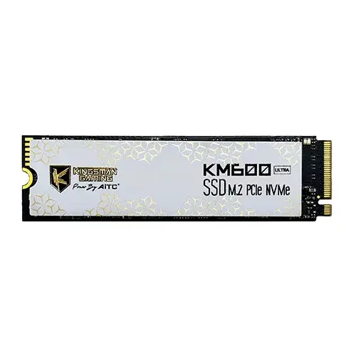 AITC KINGSMAN KM600 ULTRA 256GB PCIe Gen3 M.2 NVMe SSD AITC KINGSMAN KM600 ULTRA 256GB PCIe Gen3 M.2 NVMe SSD