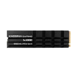 AITC KINGSMAN S1000 2TB M.2 2280 PCIe Gen5x4 NVMe 2.0 SSD With DRAM & Heatshink AITC KINGSMAN S1000 2TB M.2 2280 PCIe Gen5x4 NVMe 2.0 SSD With DRAM & Heatshink