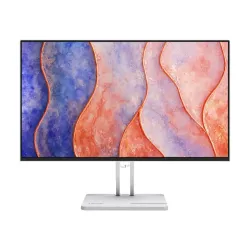 Lenovo L24-4C 24