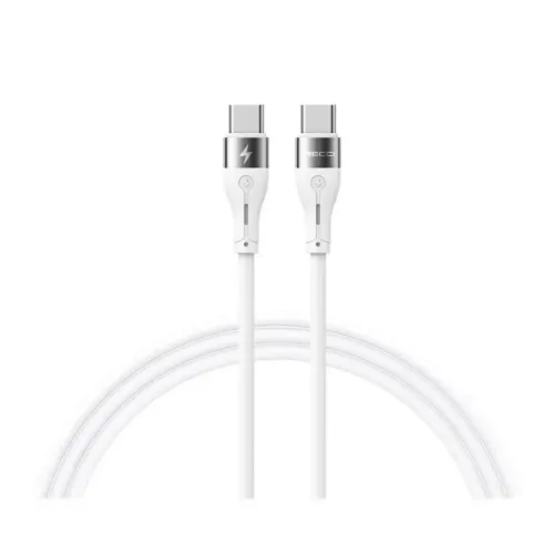 Recci RS11CC 1 Meter 65W Type-C Fast Charging Cable