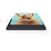 XP-Pen Artist 13.3 Pro V2 Graphics Tablet
