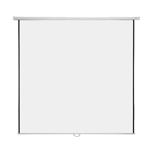 Super View 70 x 70 Inch Electric Projector Screen