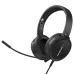 AVerMedia BO317 Camera & Headphone Video Conference Kit