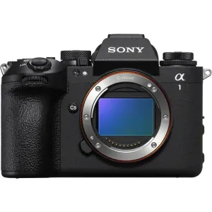Mirrorless Camera Mirrorless Camera