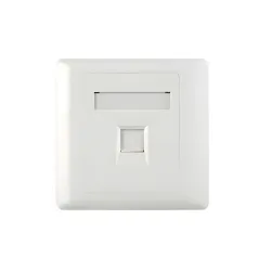 Belden AX104441 Single Port Faceplate Belden AX104441 Single Port Faceplate