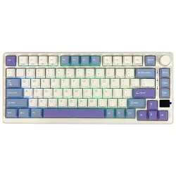 Royal Kludge RK M75 RGB Tri-Mode Hot-Swappable Mechanical Keyboard Royal Kludge RK M75 RGB Tri-Mode Hot-Swappable Mechanical Keyboard