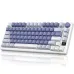 Royal Kludge RK M75 RGB Tri-Mode Hot-Swappable Mechanical Keyboard