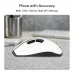 Asus MD105 Ergonomic Wireless Mouse