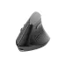 AJAZZ i300 Dual Mode Wireless Mouse AJAZZ i300 Dual Mode Wireless Mouse