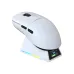 AJAZZ AJ159 APEX 8KHz Wireless Gaming Mouse With Charging Dock AJAZZ AJ159 APEX 8KHz Wireless Gaming Mouse With Charging Dock