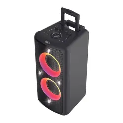 F&D PA300 Bluetooth Party Speaker with mic F&D PA300 Bluetooth Party Speaker with mic
